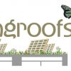 New Website for Livingroofs